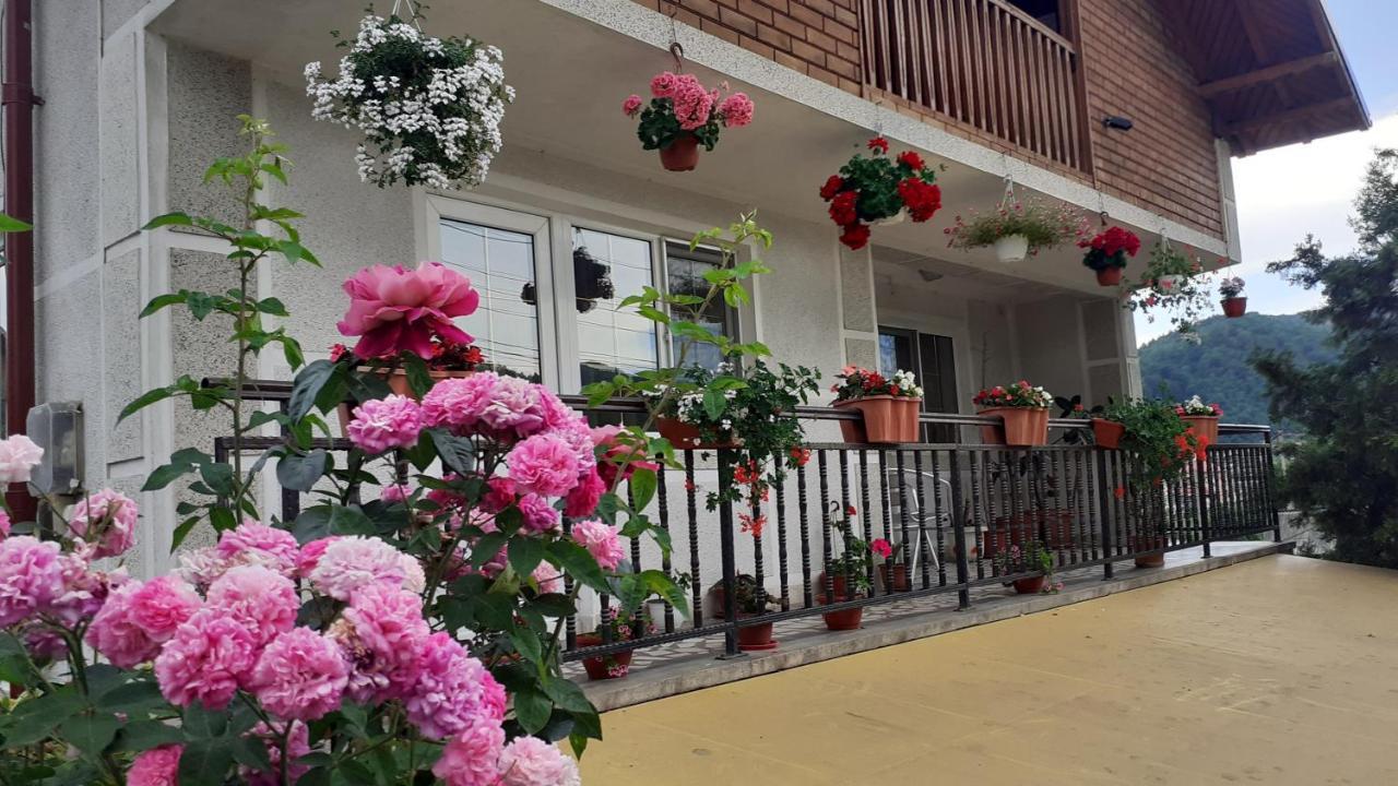 Vila Nadia Hotel Oesti-Paminteni Екстериор снимка