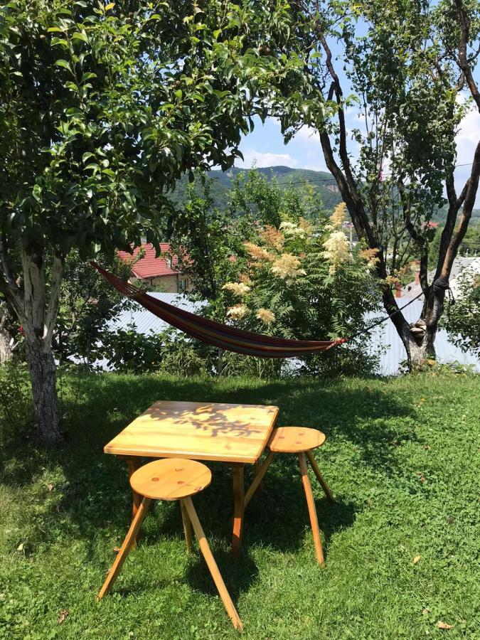 Vila Nadia Hotel Oesti-Paminteni Екстериор снимка